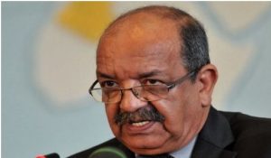 m-messahel