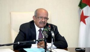 messahel-5